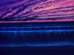Preview wallpaper sea, horizon, art, sunset, night