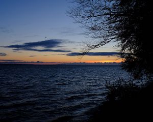 Preview wallpaper sea, horizon, branches, night, ripples