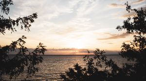 Preview wallpaper sea, horizon, branches, sunset, sky