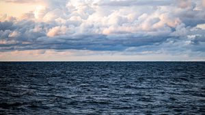 Preview wallpaper sea, horizon, clouds, sky, bird