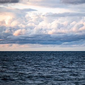 Preview wallpaper sea, horizon, clouds, sky, bird