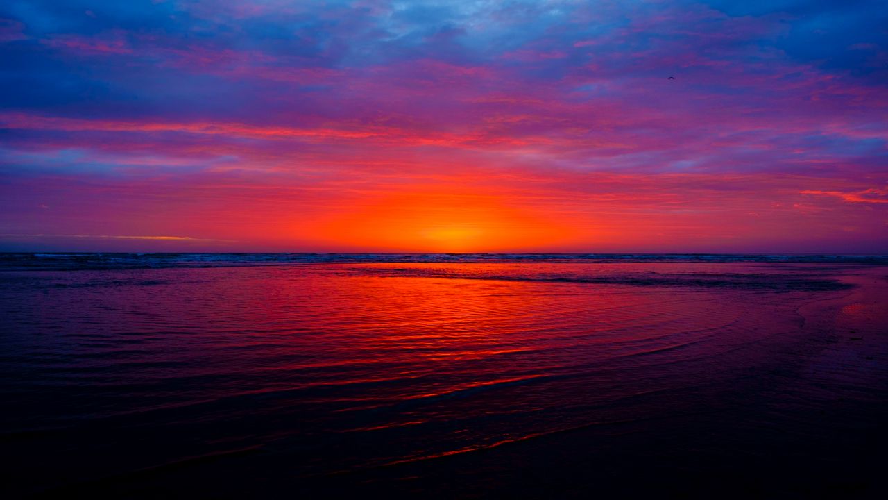 Wallpaper sea, horizon, sunrise