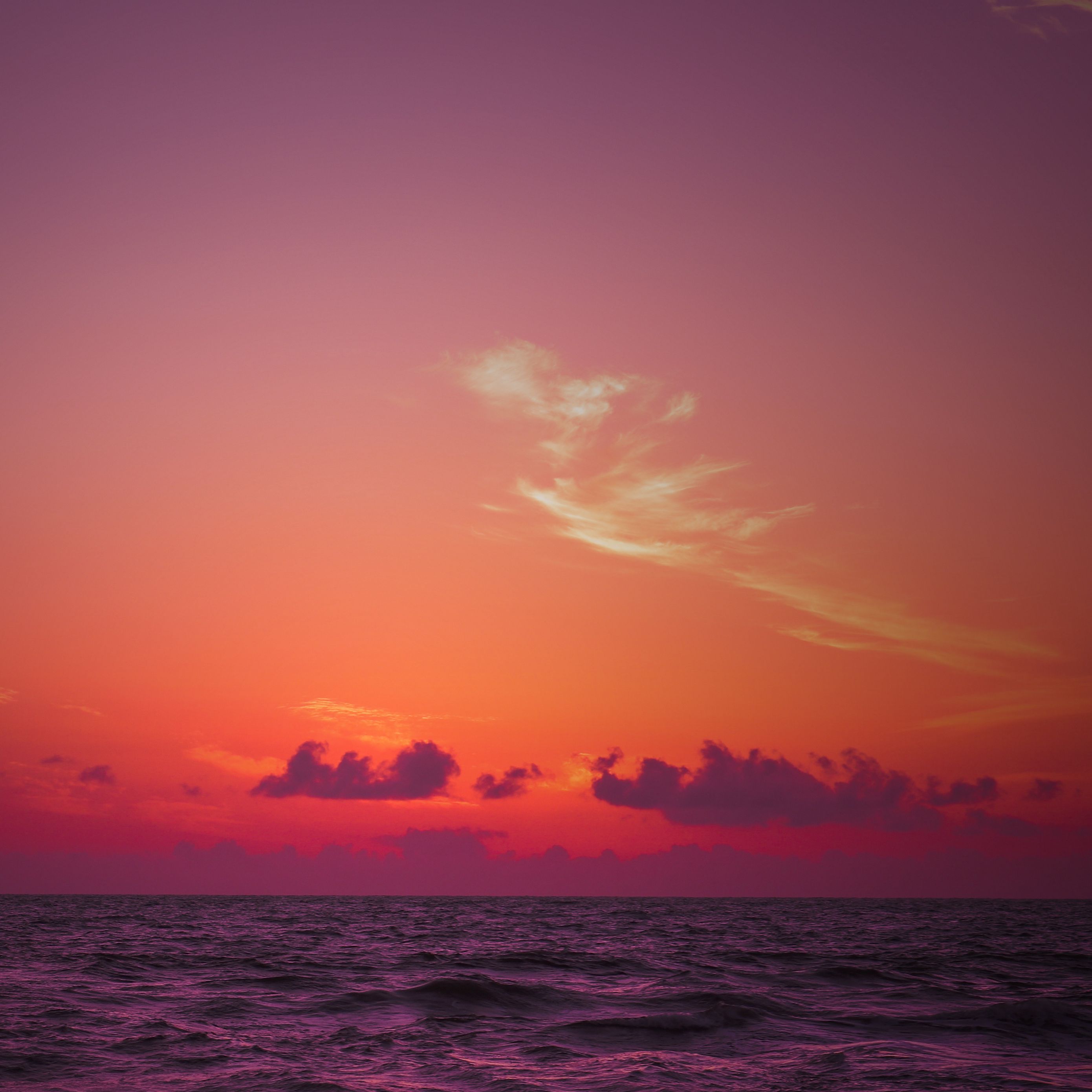 Download Wallpaper 2780x2780 Sea Horizon Sunset Waves Ipad Air Ipad