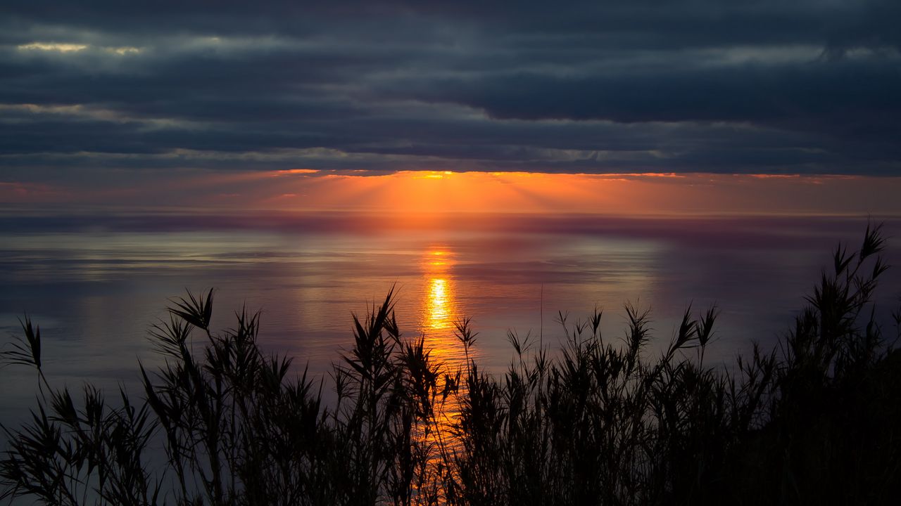 Wallpaper sea, horizon, sunset, clouds, grass, twilight