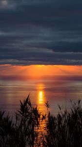 Preview wallpaper sea, horizon, sunset, clouds, grass, twilight