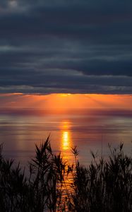 Preview wallpaper sea, horizon, sunset, clouds, grass, twilight