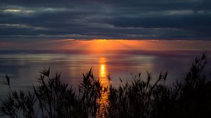 Preview wallpaper sea, horizon, sunset, clouds, grass, twilight