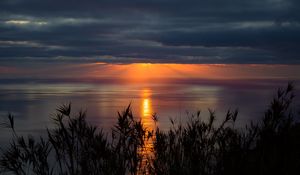 Preview wallpaper sea, horizon, sunset, clouds, grass, twilight