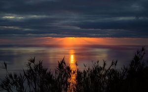 Preview wallpaper sea, horizon, sunset, clouds, grass, twilight