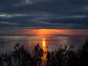 Preview wallpaper sea, horizon, sunset, clouds, grass, twilight