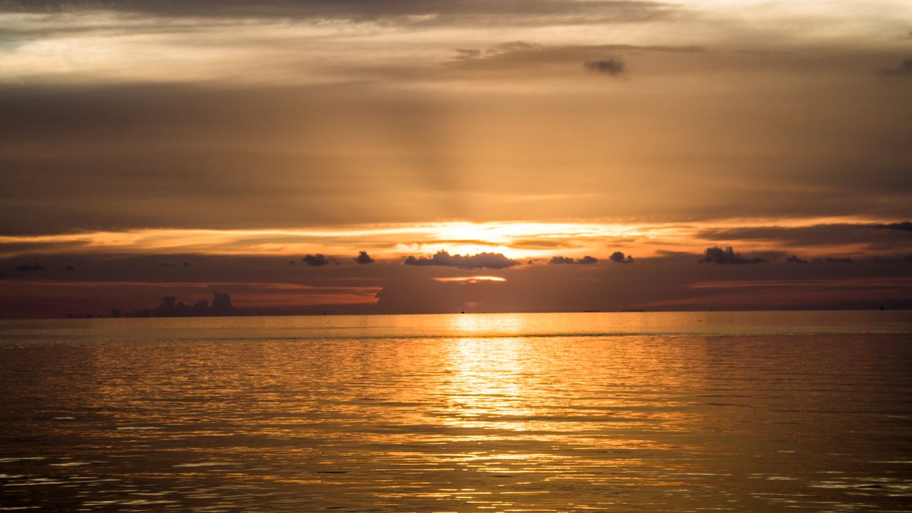 Wallpaper sea, horizon, sunset, clouds, evening