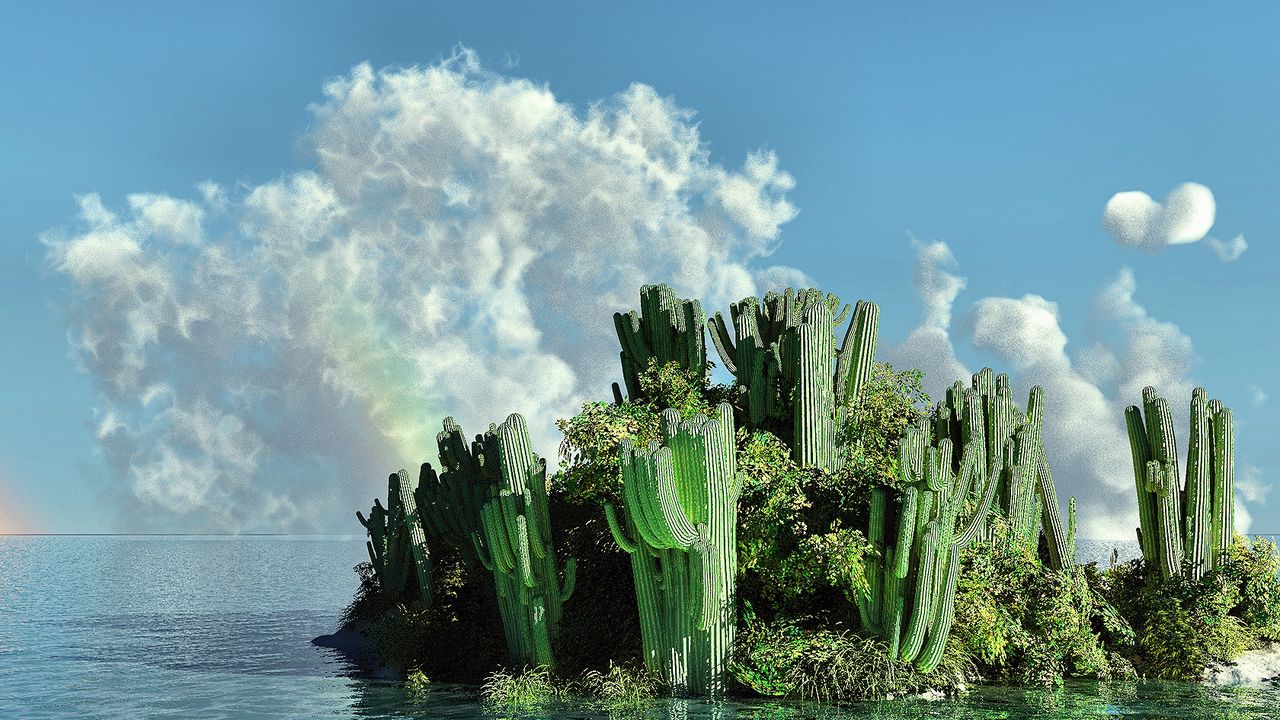 Wallpaper sea, island, cactus