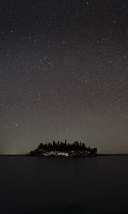 Preview wallpaper sea, island, forest, sky, starry sky, night