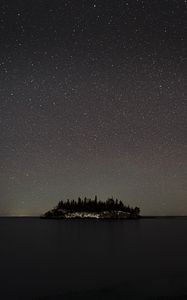 Preview wallpaper sea, island, forest, sky, starry sky, night