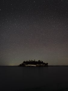 Preview wallpaper sea, island, forest, sky, starry sky, night