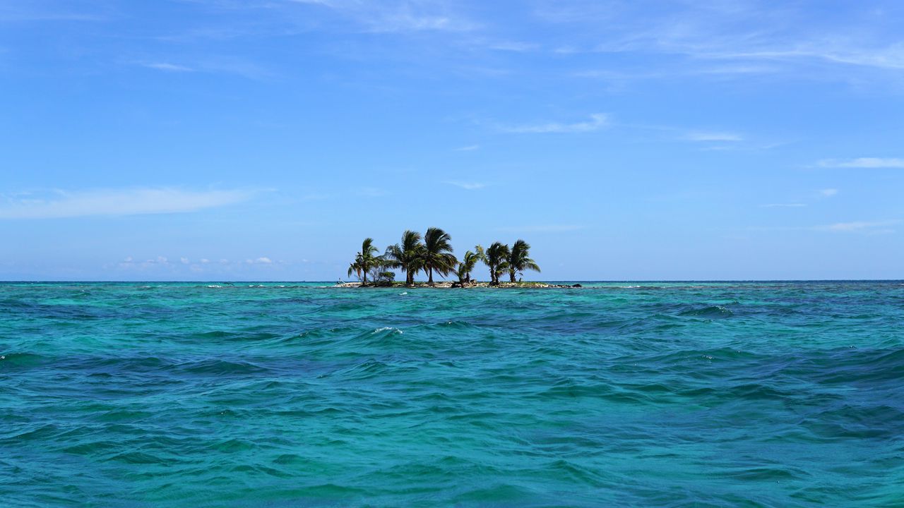 Wallpaper sea, island, palm trees, landscape