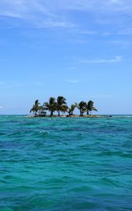 Preview wallpaper sea, island, palm trees, landscape