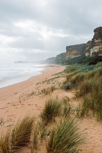 Preview wallpaper sea, landscape, shore, sand, grass, rocks