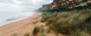 Preview wallpaper sea, landscape, shore, sand, grass, rocks
