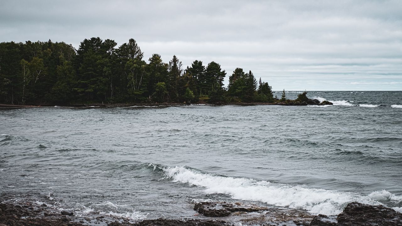 Wallpaper sea, landscape, trees, nature