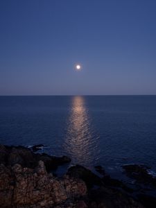 Preview wallpaper sea, moon, water, reflection, night, nature