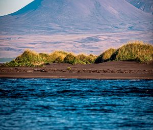 Preview wallpaper sea, mountain, trees, island