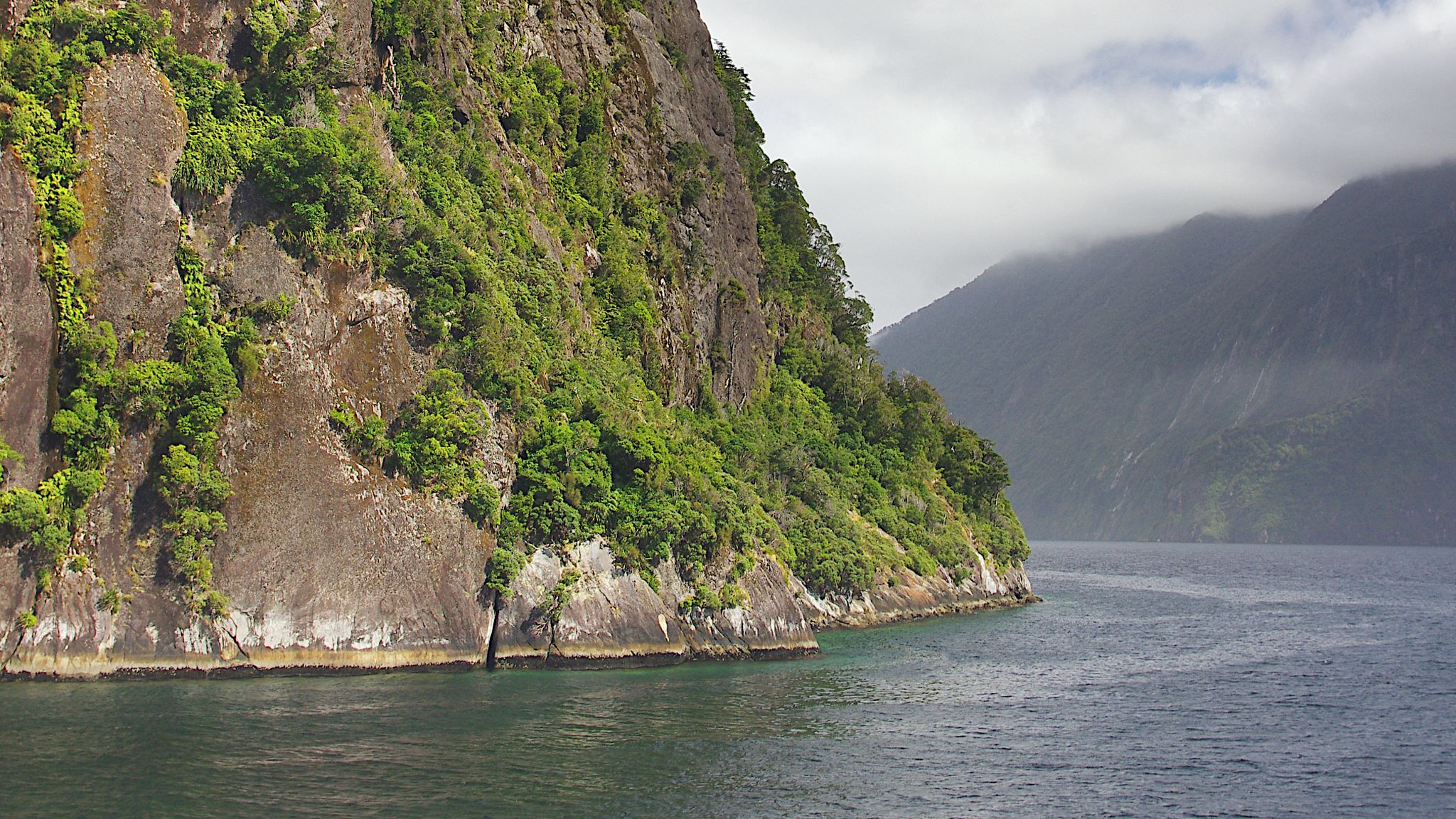 Download wallpaper 2048x1152 sea, mountains, bushes, fog ultrawide