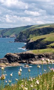 Preview wallpaper sea, mountains, flowers, hills, nature