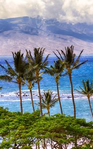 Preview wallpaper sea, mountains, palm trees, beach