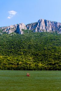 Preview wallpaper sea, mountains, trees, hill, landscape