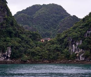 Preview wallpaper sea, mountains, trees, forest, bay, house