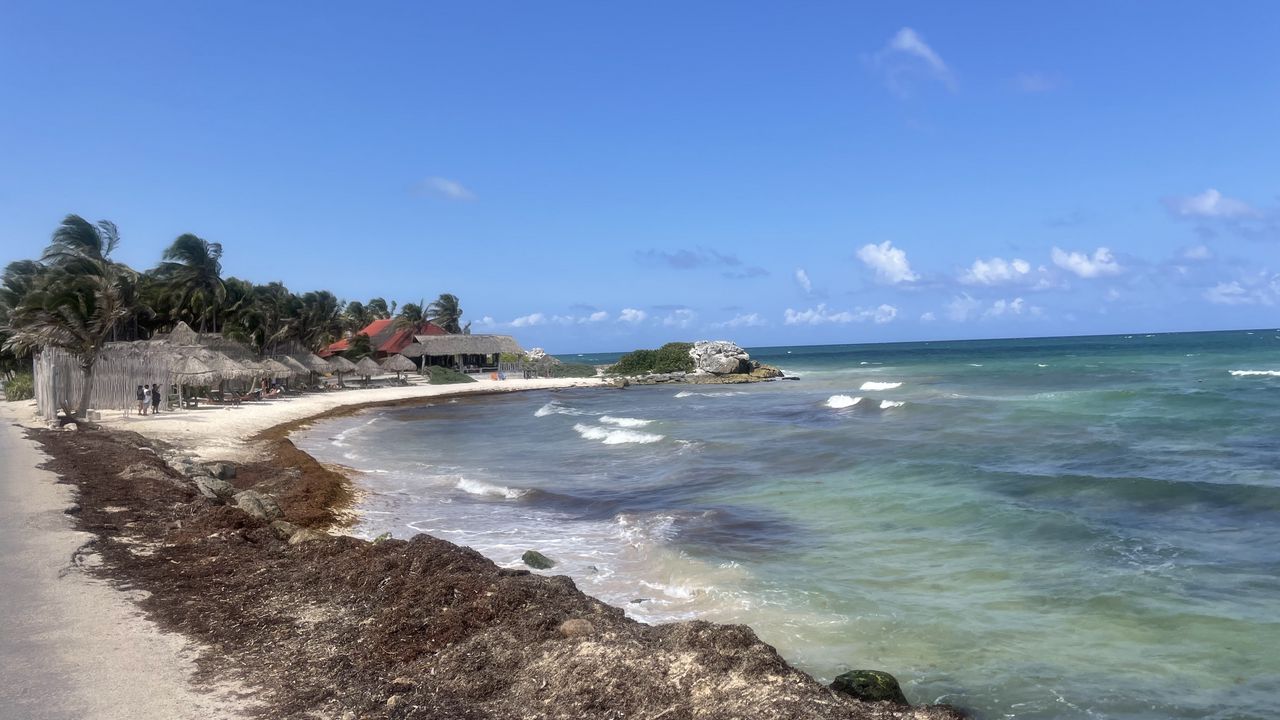 Wallpaper sea, ocean, coast, beach, nature