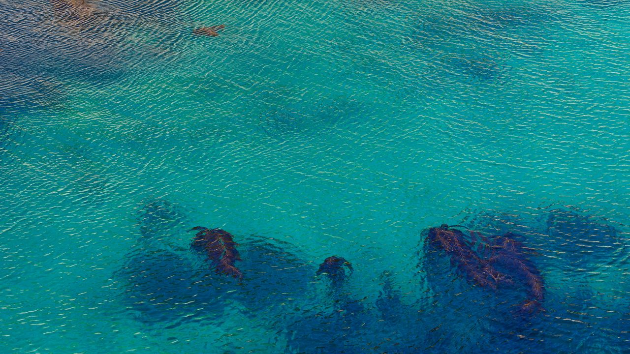 Wallpaper sea, ocean, ripples, nature, blue