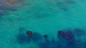 Preview wallpaper sea, ocean, ripples, nature, blue