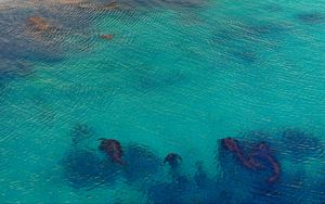 Preview wallpaper sea, ocean, ripples, nature, blue