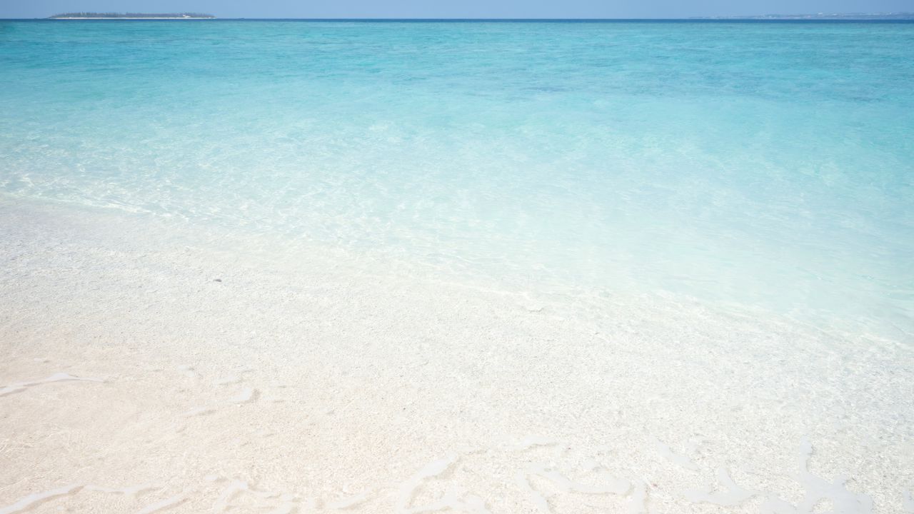 Wallpaper sea, ocean, sand, beach, transparent