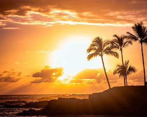 Preview wallpaper sea, palm, sunset, glare, rocks