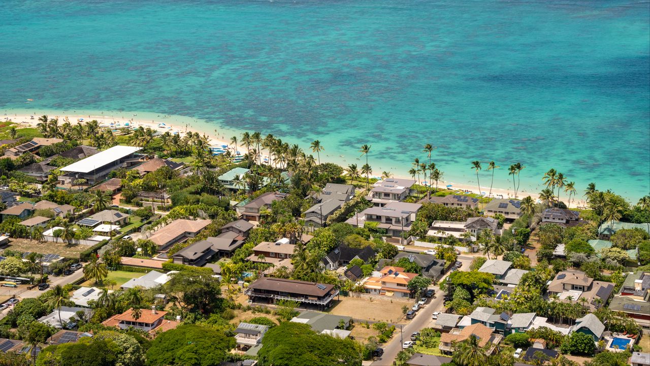 Wallpaper sea, palm trees, houses, tropics, aerial view