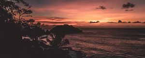 Preview wallpaper sea, palm trees, rock, dark, outlines, twiligh