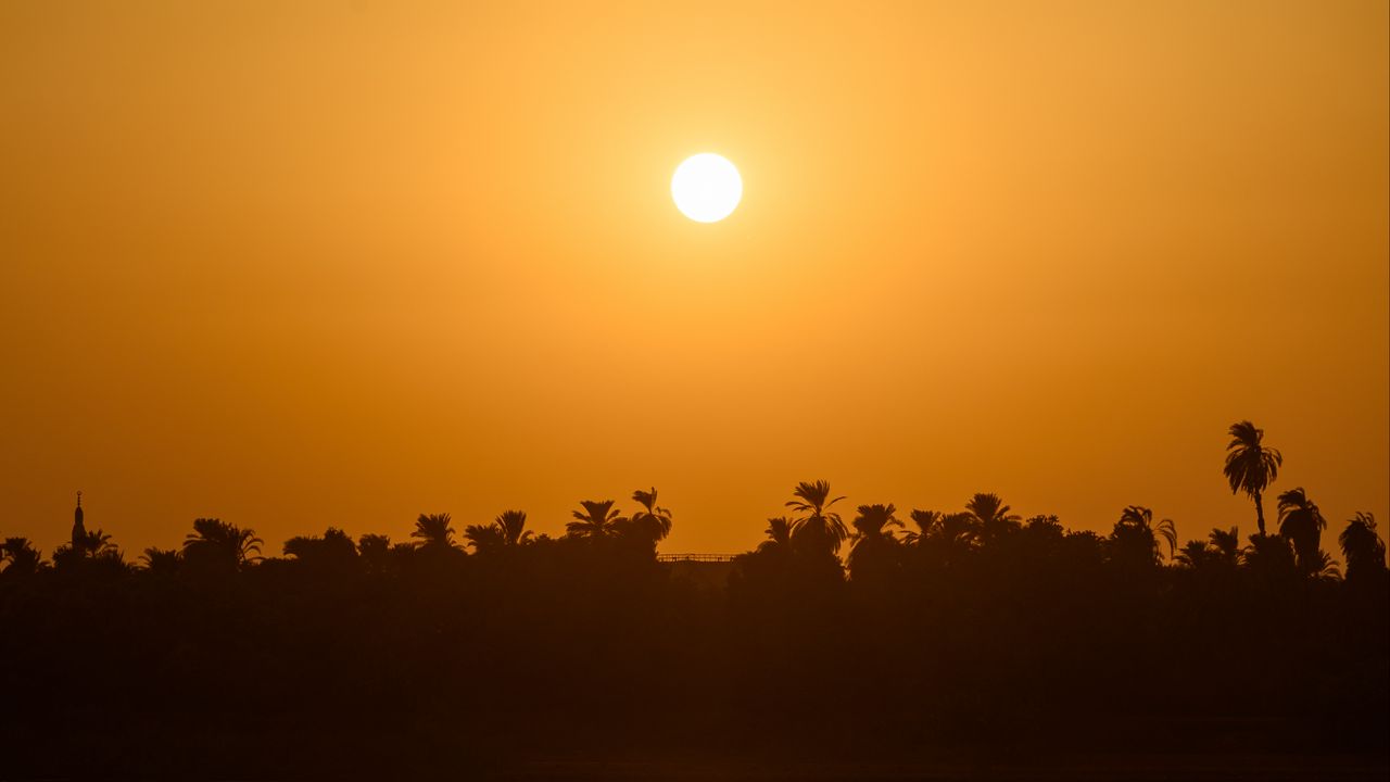 Wallpaper sea, palm trees, silhouettes, sunset, sun