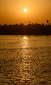 Preview wallpaper sea, palm trees, silhouettes, sunset, sun