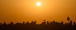 Preview wallpaper sea, palm trees, silhouettes, sunset, sun