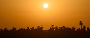 Preview wallpaper sea, palm trees, silhouettes, sunset, sun