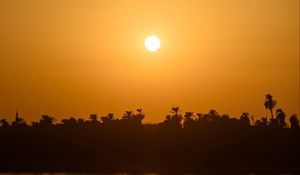Preview wallpaper sea, palm trees, silhouettes, sunset, sun