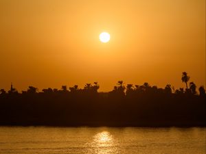 Preview wallpaper sea, palm trees, silhouettes, sunset, sun