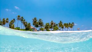 Preview wallpaper sea, palm trees, sun, beach, wave, water, blue