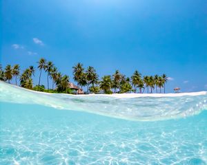 Preview wallpaper sea, palm trees, sun, beach, wave, water, blue