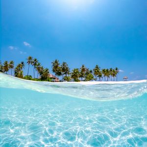 Preview wallpaper sea, palm trees, sun, beach, wave, water, blue