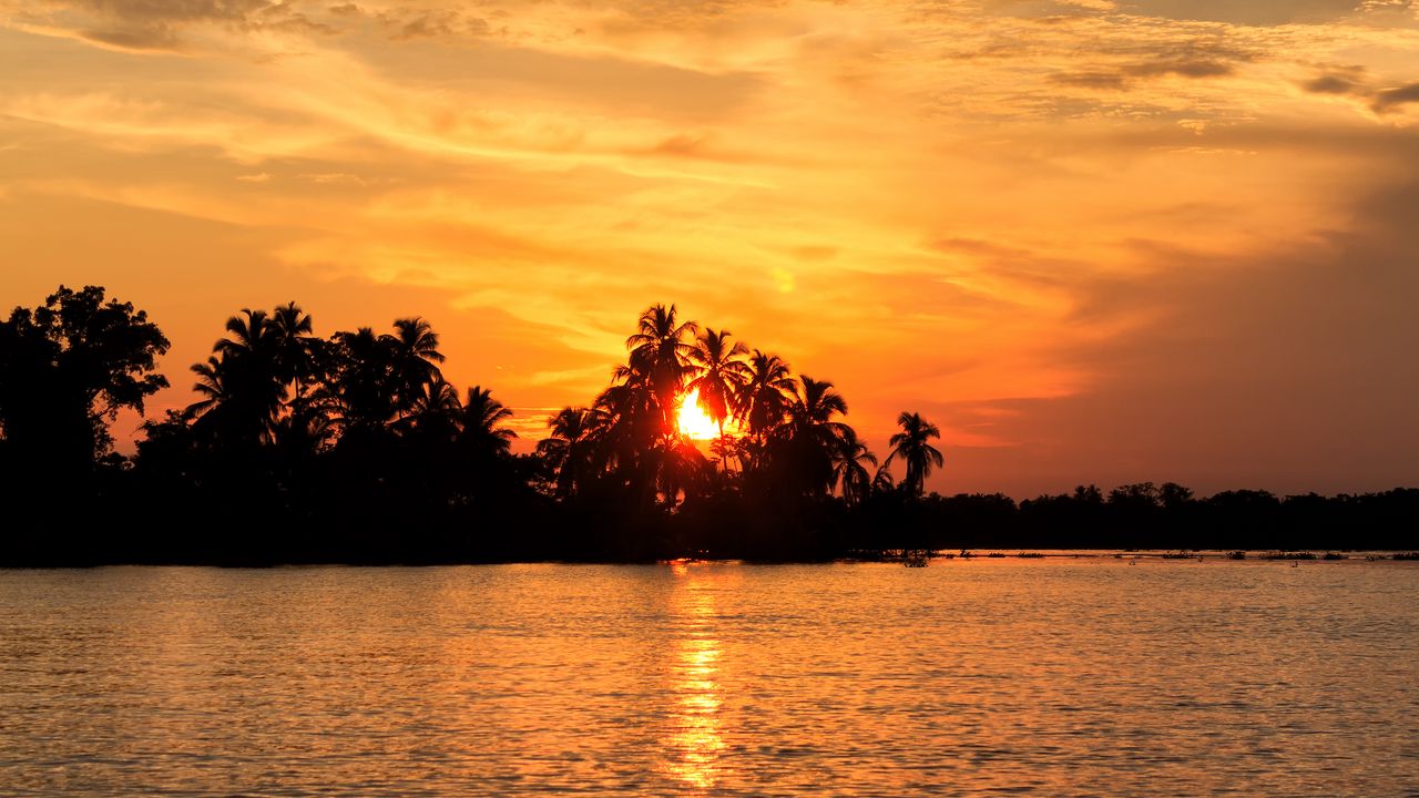 Wallpaper sea, palm trees, sunset, tropics, nature