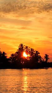 Preview wallpaper sea, palm trees, sunset, tropics, nature